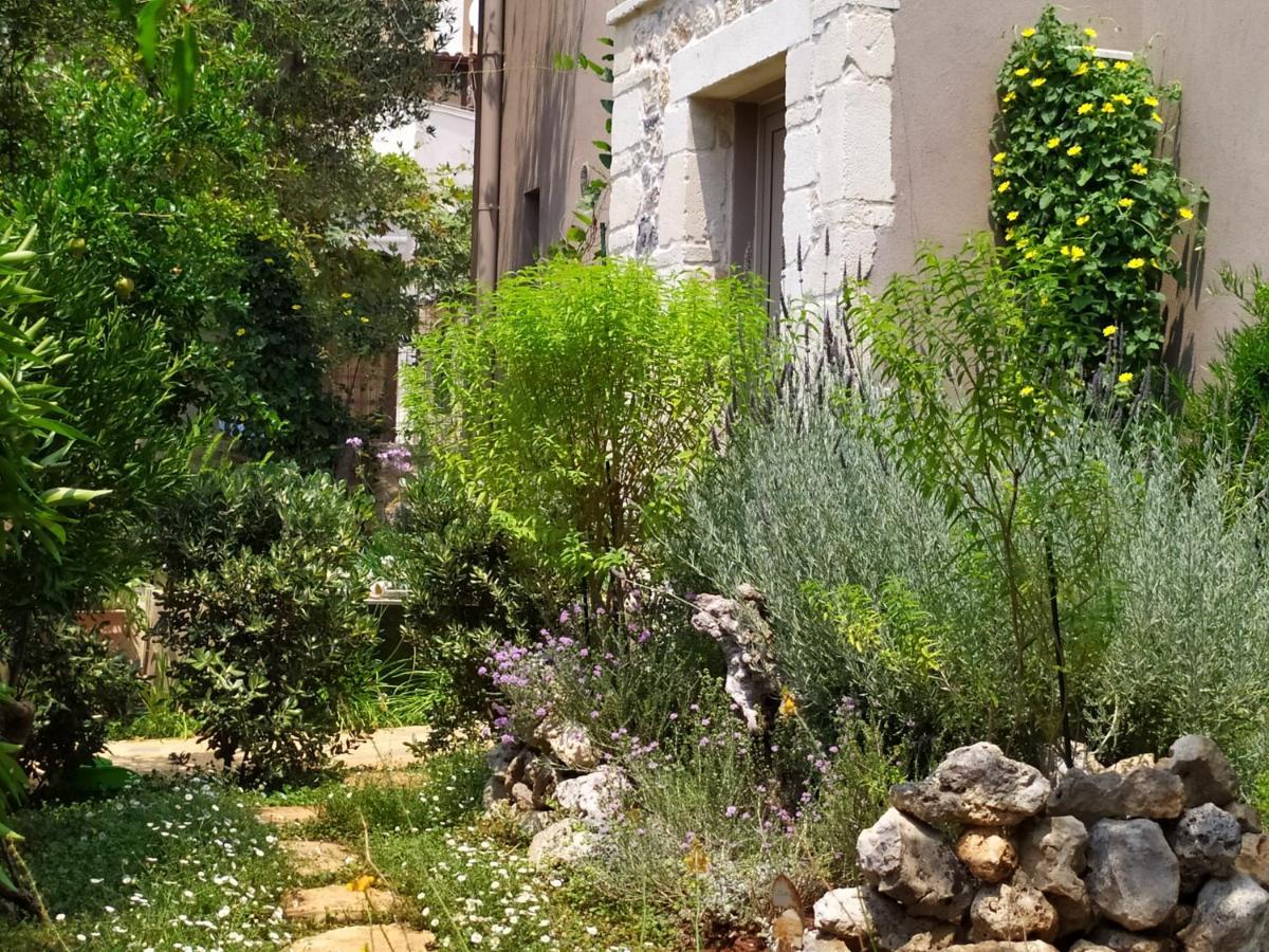 Olive Lemon Biophilic House & Lush Forest Garden Vámosz Kültér fotó
