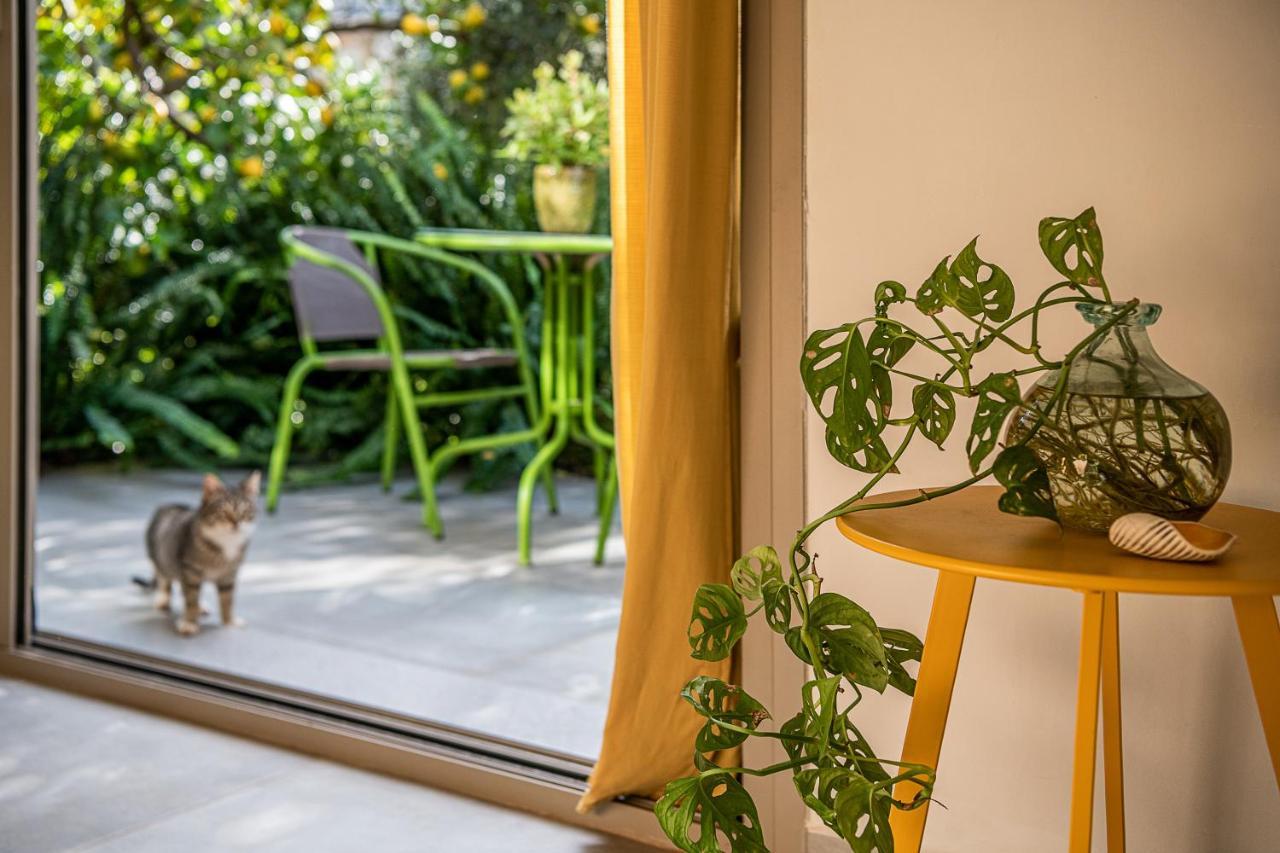 Olive Lemon Biophilic House & Lush Forest Garden Vámosz Kültér fotó