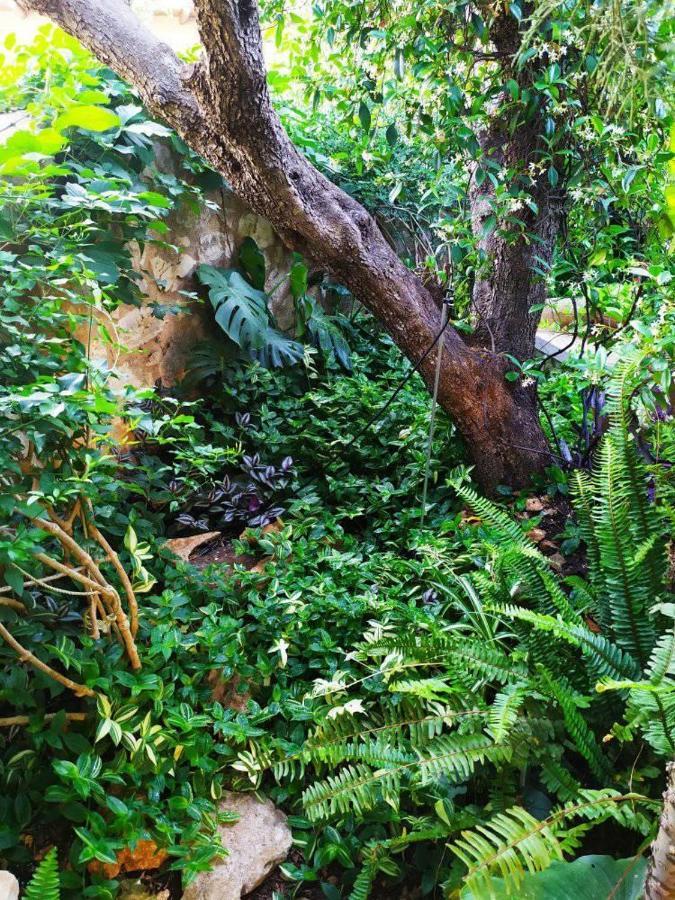 Olive Lemon Biophilic House & Lush Forest Garden Vámosz Kültér fotó