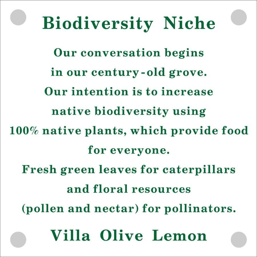 Olive Lemon Biophilic House & Lush Forest Garden Vámosz Kültér fotó