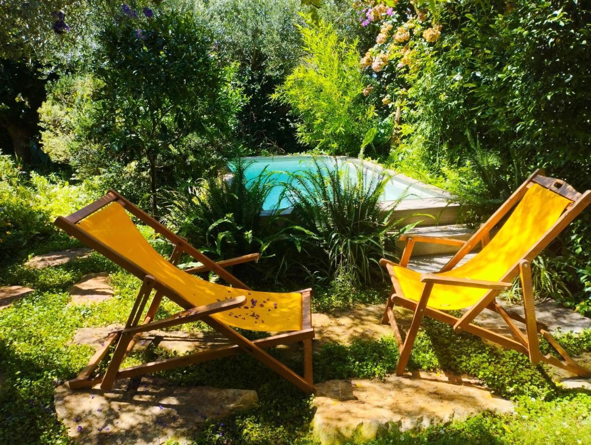 Olive Lemon Biophilic House & Lush Forest Garden Vámosz Kültér fotó