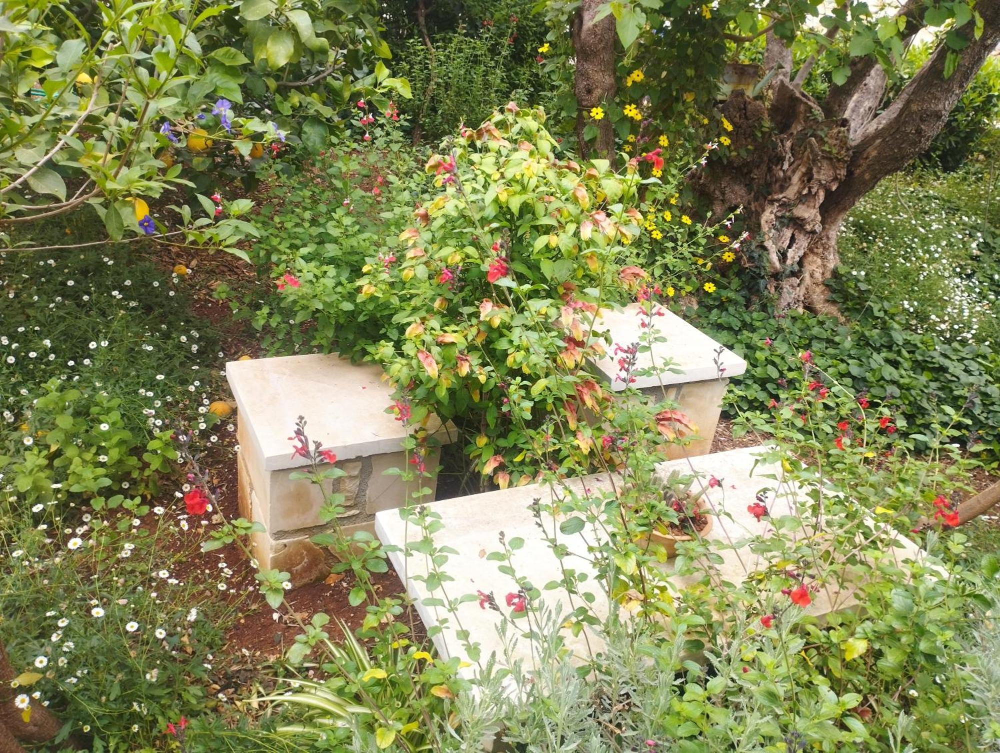 Olive Lemon Biophilic House & Lush Forest Garden Vámosz Kültér fotó