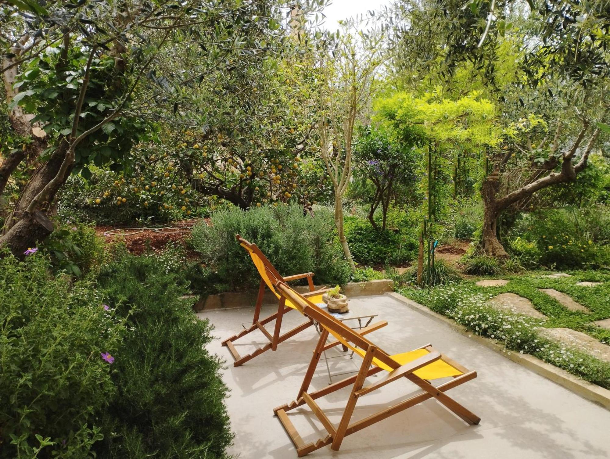 Olive Lemon Biophilic House & Lush Forest Garden Vámosz Szoba fotó