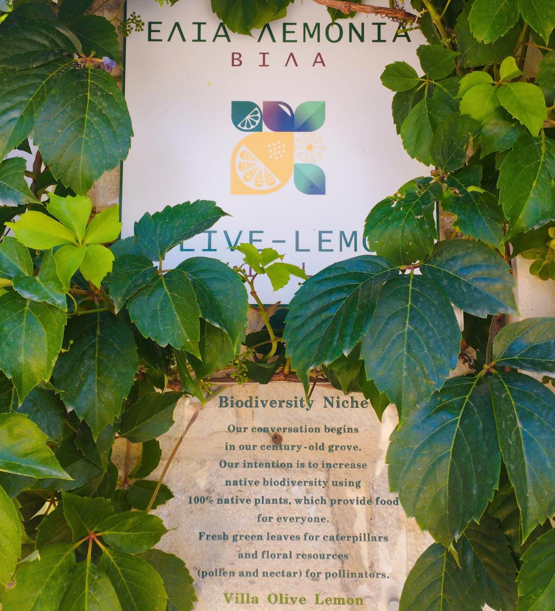 Olive Lemon Biophilic House & Lush Forest Garden Vámosz Szoba fotó